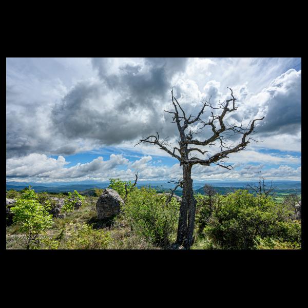 PHOTO84, CLUB, 84 , LUBERON